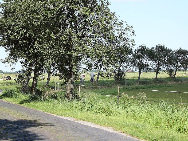 Landschaftsaufnahme aus der Gemeinde Großheide