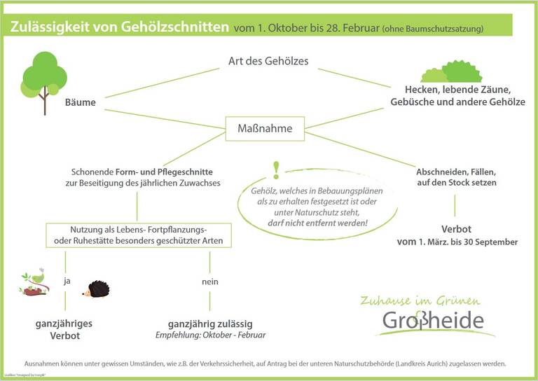 Grafik zur Zulässigkeit von Gehölzschnitt