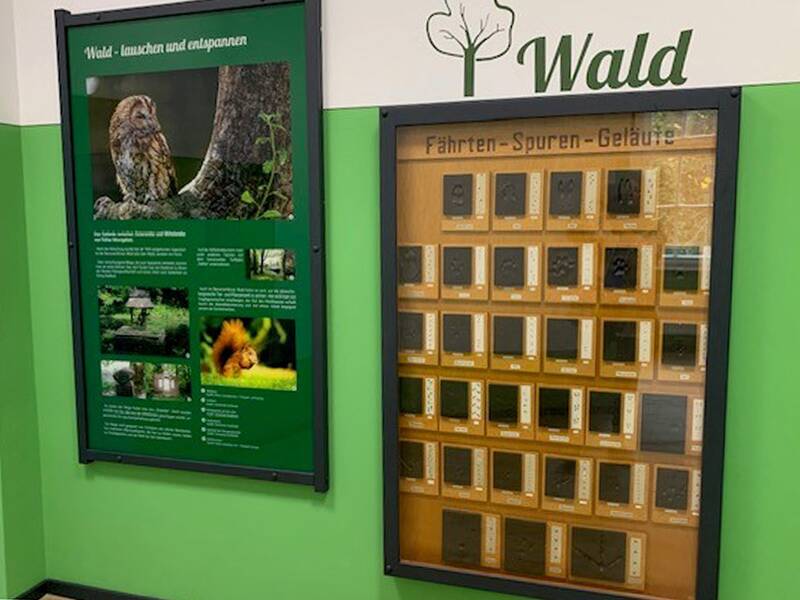 Ausstellung von Fährtenspuren zum Thema Wald 