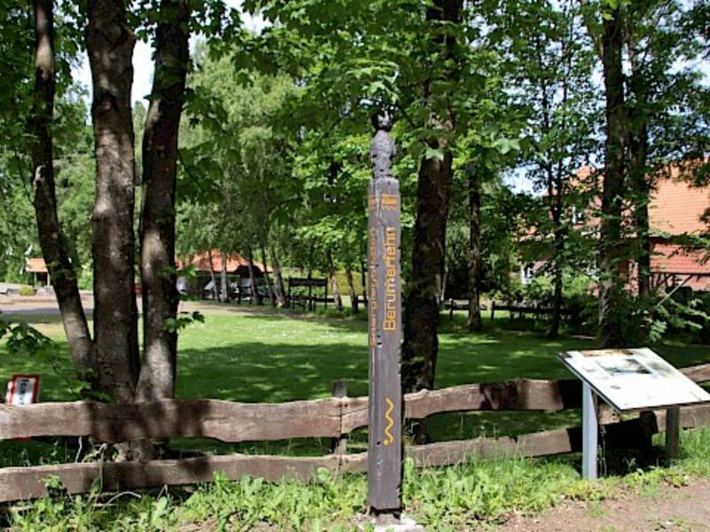Auf dem Bild sieht man den Pfahlgott. Der nachgebaute Pfahlgott gilt als wegbegleitendes Schutzzeichen aus der Steinzeit. Es kennzeichnet 10 Tafelstandorte mit Wissenswertem rund um das Moor und seine Geschichte dazu.
