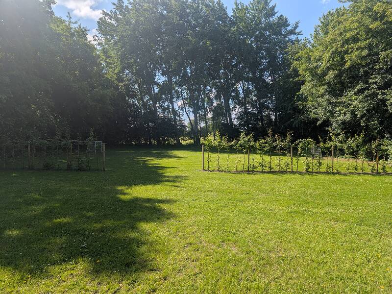Abbildung von Spielgeräten auf dem Spielplatz am Rotdornweg