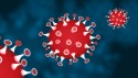 Coronavirus Informationen